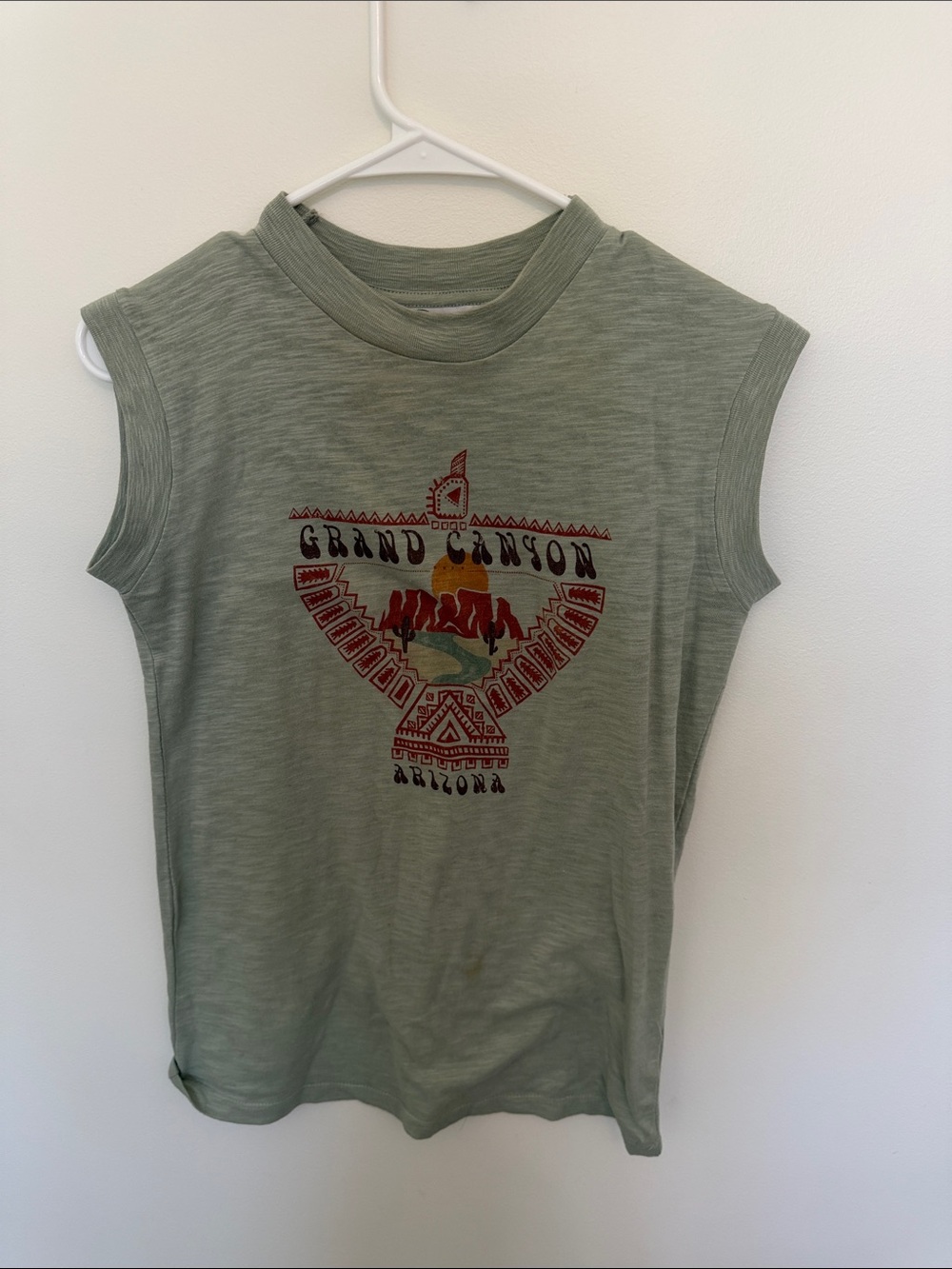 Free People Sage Green Grand Canyon Graphic Tank